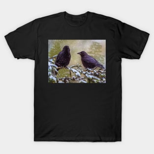 Winter Crows T-Shirt